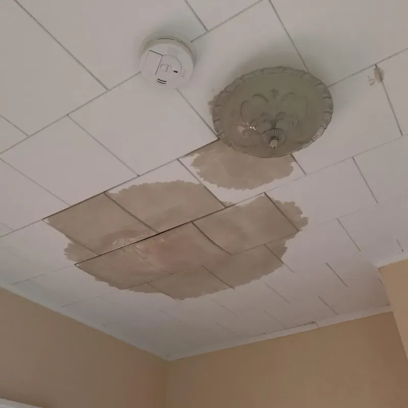 Ceiling Water Damage Repair in Wayne County, NE