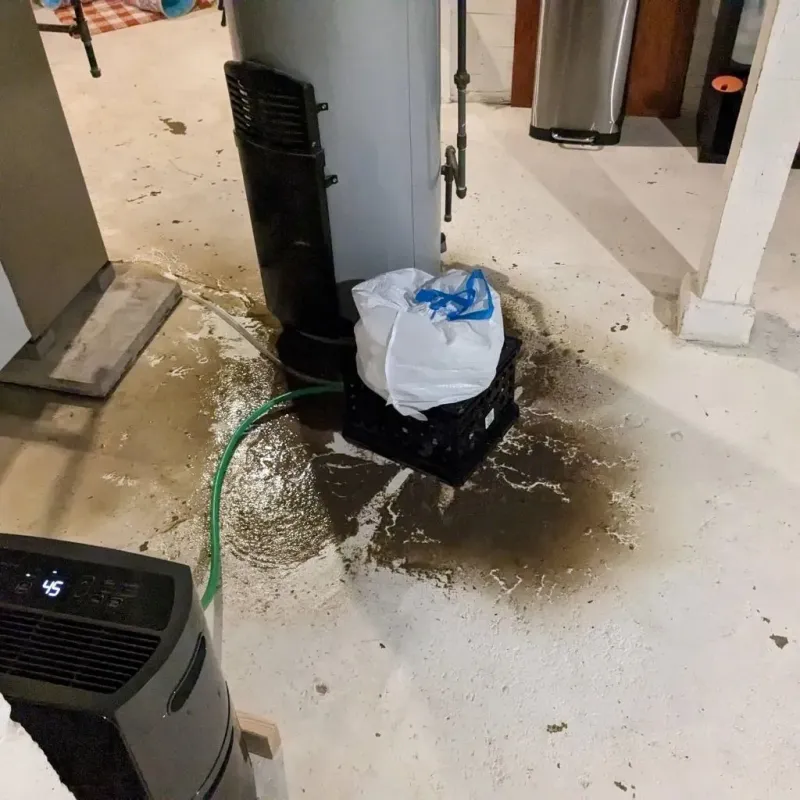 Sewage Backup Cleanup Service in Wayne County, NE